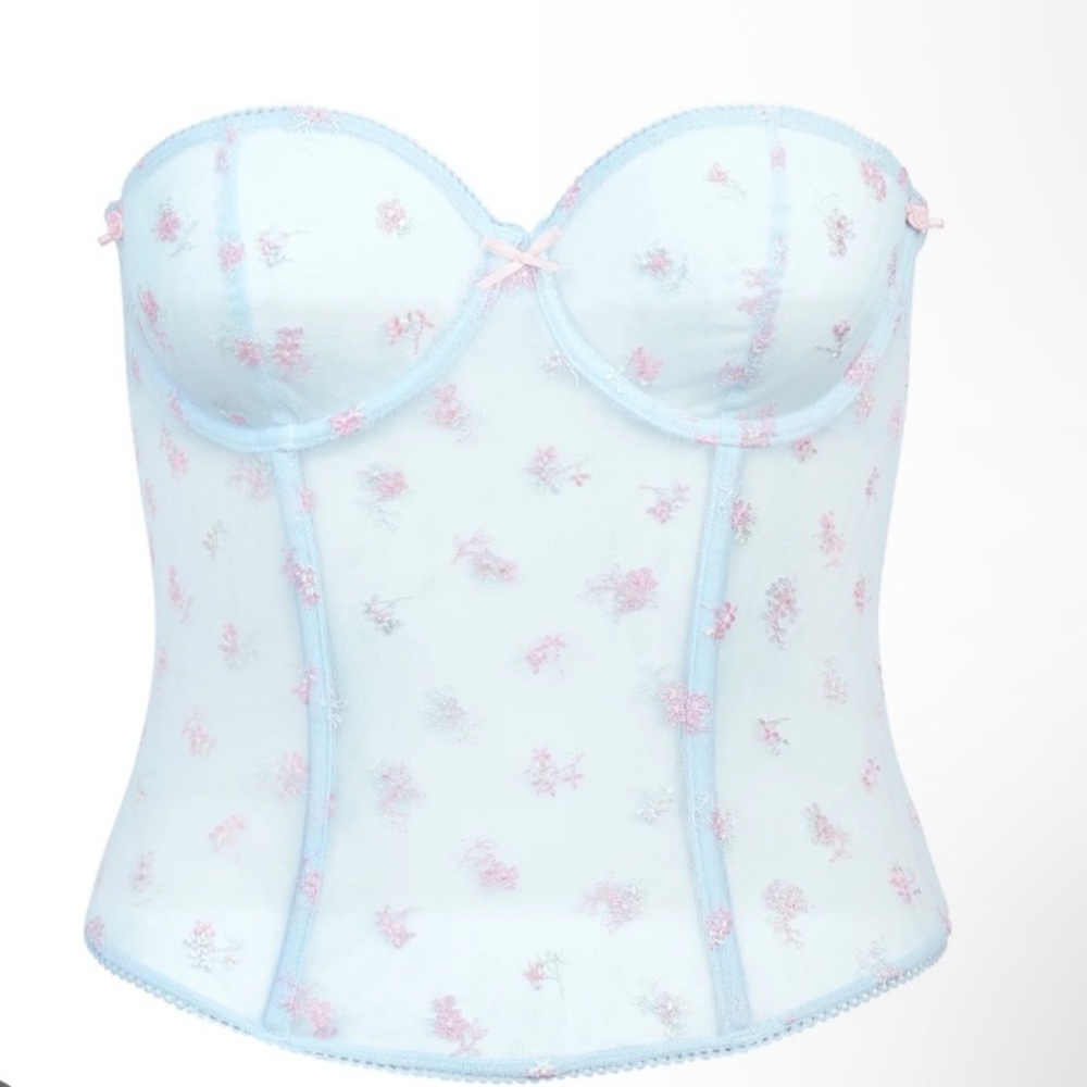 SKIMS Spring intimates Sheer Embroidered Corset Top in Light Blue pink florals
